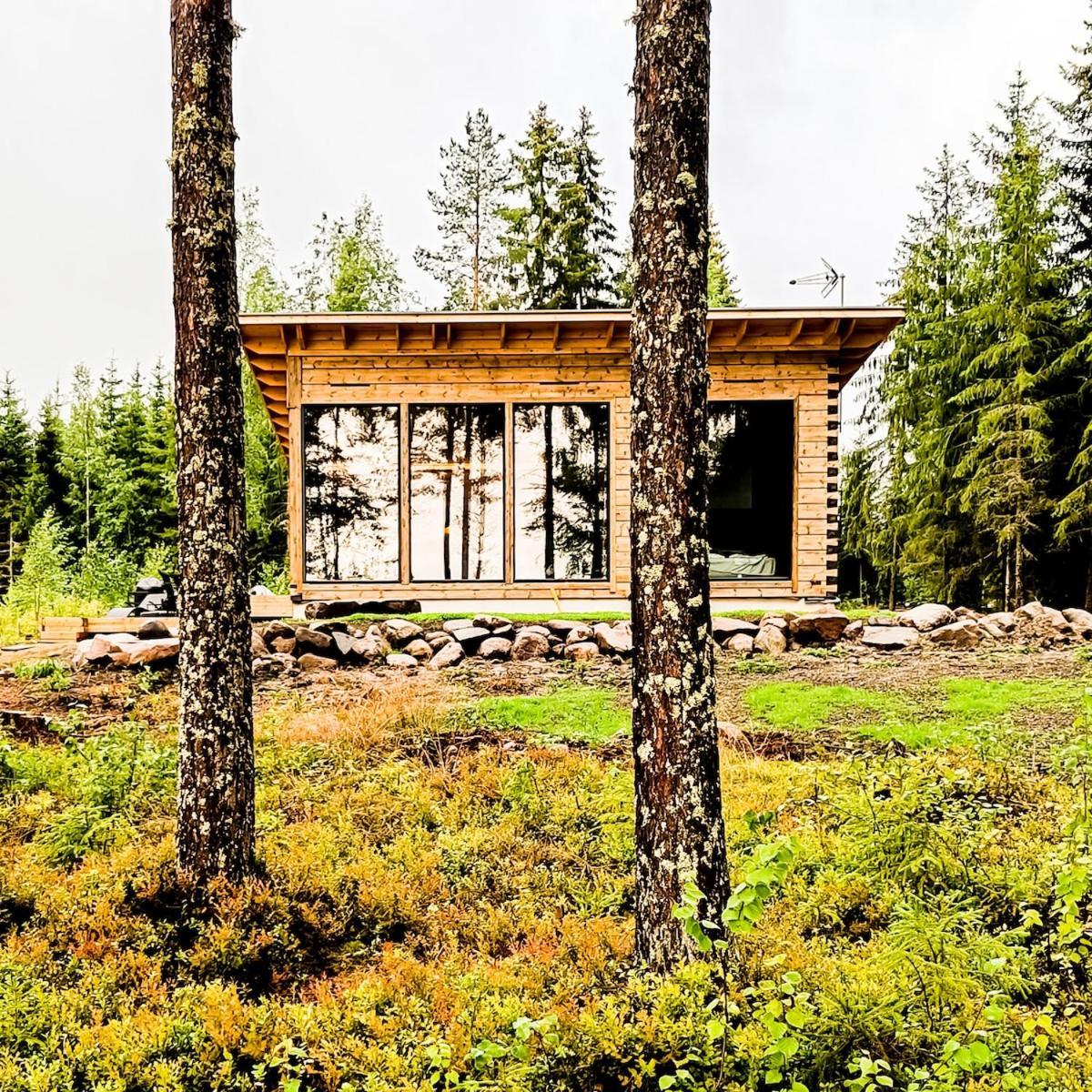 Villa Kokkoranta - Lake House With The View تامبير المظهر الخارجي الصورة